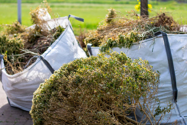 Best Affordable Junk Removal Services  in Pea Ridge, AR